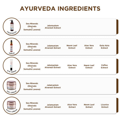 Spawake Ayurveda Rejuvenating Night Cream